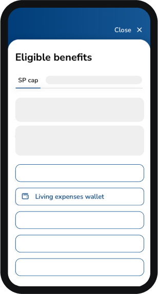 My RemServ How to Add RemServ Wallet Steps